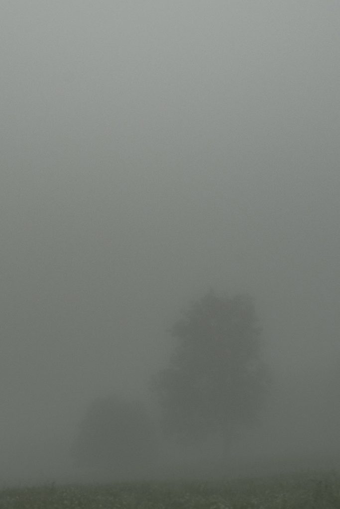 Foggy montain