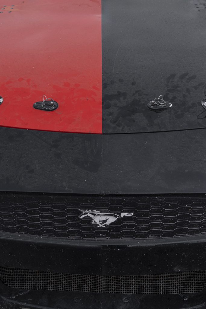 Copies webford mustang mascar