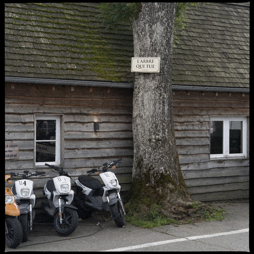 Photographie automobile en argentique sur le circuit de Spa-Francorchamps. L'arbre qui tue