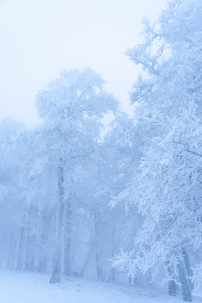 Photographie de la série Foggy mountain. station de ski de la bresse dans les Vosges. Projet photographique d'artiste auteur