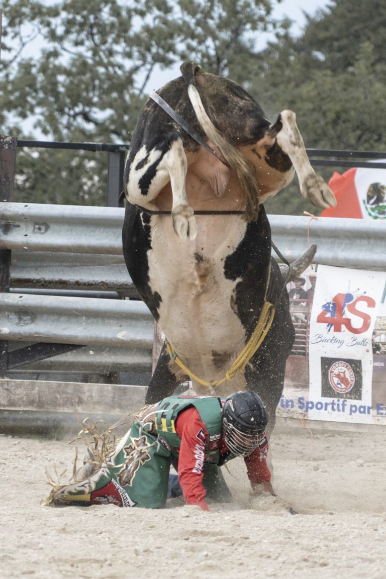 RODÉO VWH | Malo Glaus